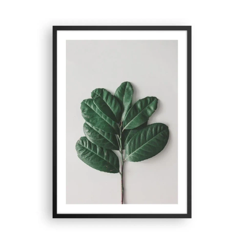 Plakat w czarnej ramie - Gałązka z ciemnozielonymi liśćmi na jasnym tle - 50x70cm - Rysunek samej natury - Nowoczesna dekoracja ścienna do salonu i sypialni ARTTOR