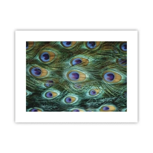 Plakat - Pawiookie spojrzenie - 40x30 cm