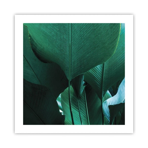 Plakat - Zwrócone do światła - 50x50 cm