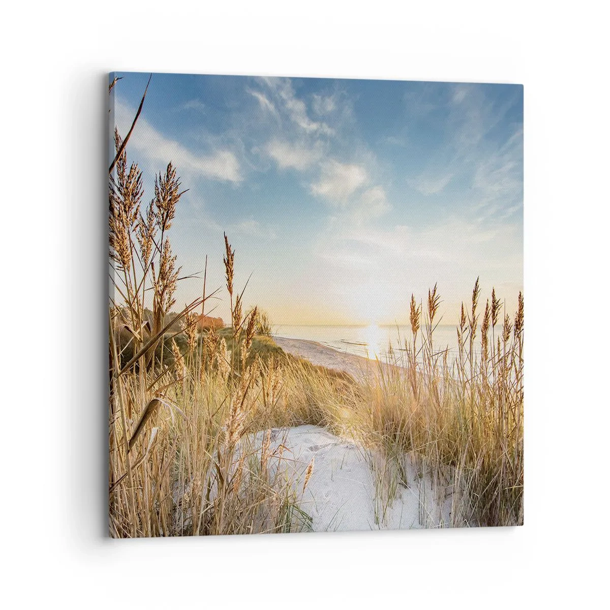 Obraz na płótnie - Północna plaża - 70x70 cm