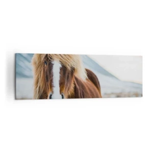 Obraz na płótnie - Koń islandzki na tle górskiego krajobrazu - 160x50cm - Czujesz wolność? - Nowoczesna dekoracja ścienna do salonu i sypialni ARTTOR