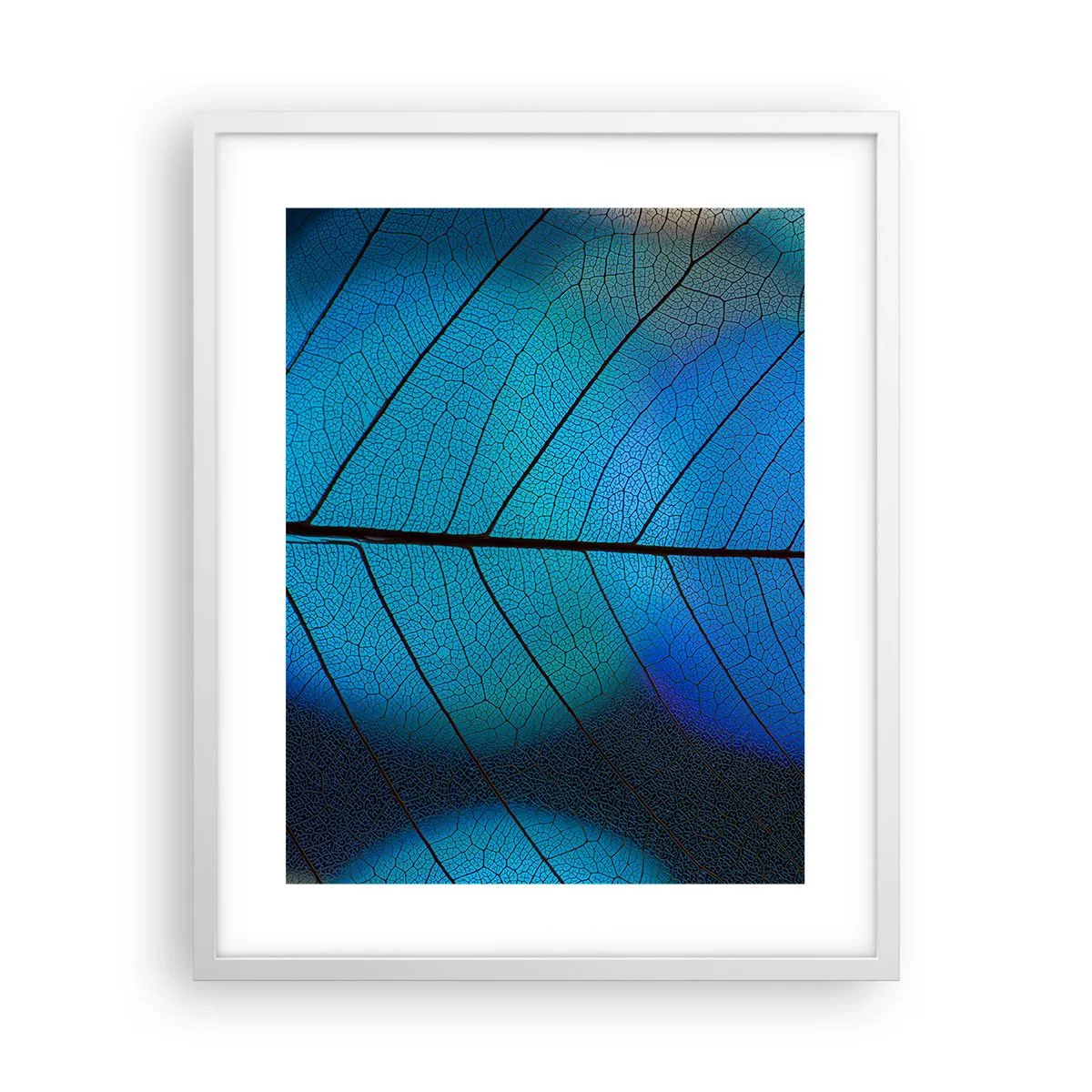 Plakat w białej ramie - Misterna budowa - 40x50 cm