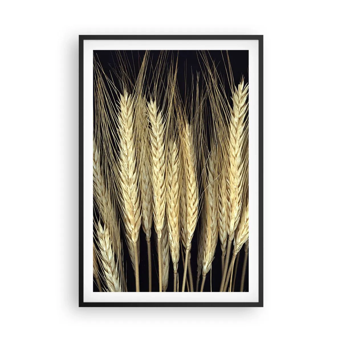 Plakat w czarnej ramie - Rustykalna magia - 61x91 cm