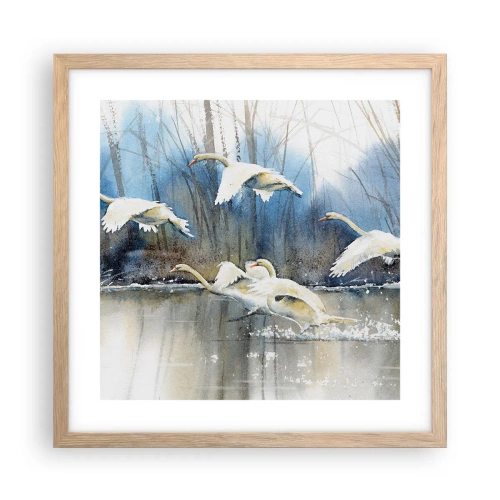 Plakat w ramie jasny dąb - Jak w baśni o dzikich łabędziach - 40x40 cm