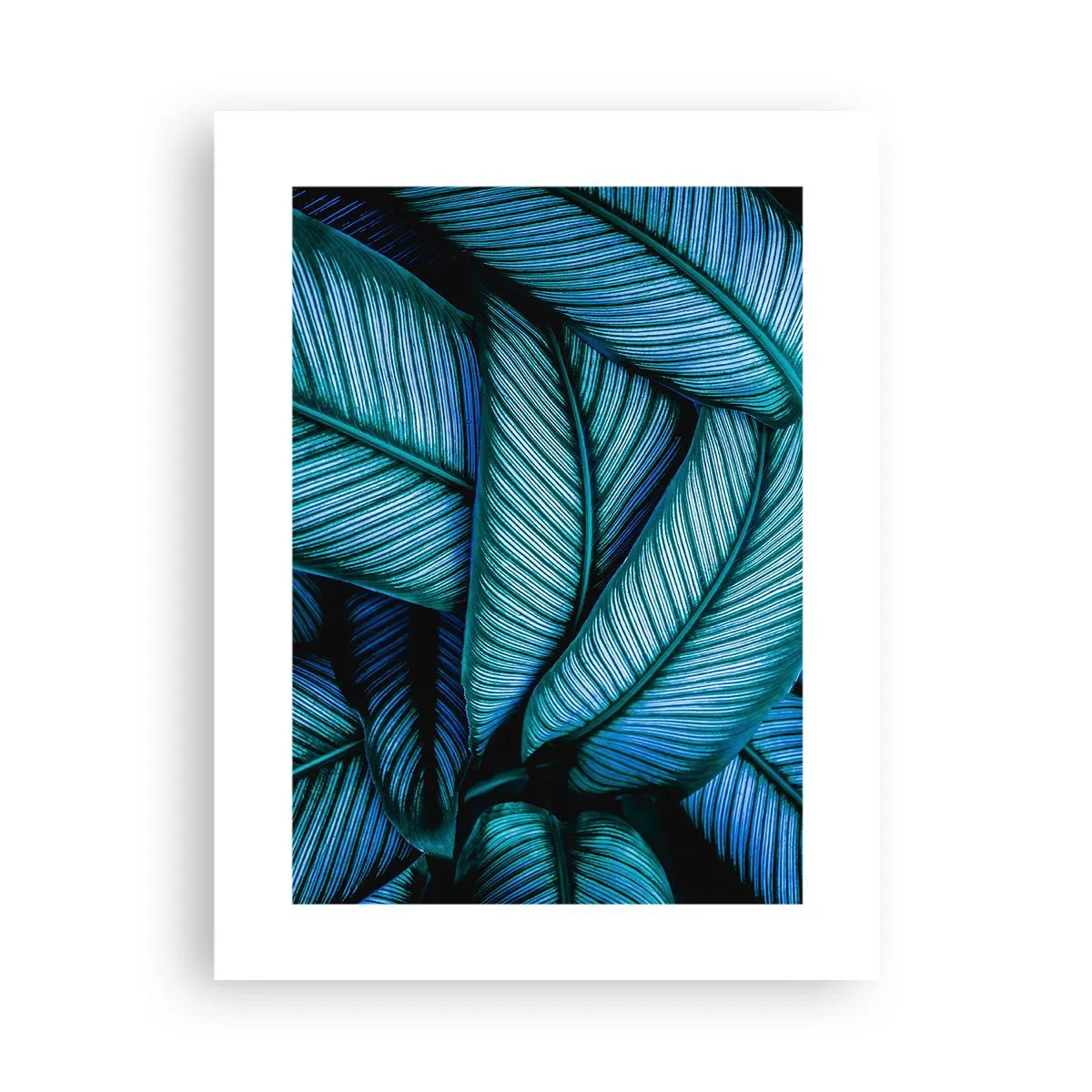 Plakat - Linie życia - 30x40 cm