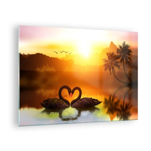 Obraz na szkle - Czarne łabędzie na jeziorze o zachodzie słońca - 70x50cm - Wszystko do pary - Nowoczesna dekoracja ścienna do salonu i sypialni ARTTOR