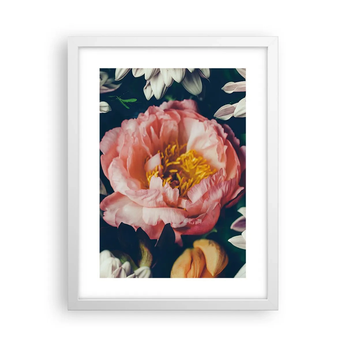 Plakat w białej ramie - Z barokowym przepychem - 30x40 cm