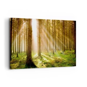 Obraz na płótnie - Las iglasty z promieniami słońca przebijającymi przez drzewa - 120x80cm - Zaraz pojawią się elfy - Nowoczesna dekoracja ścienna do salonu, kuchni i sypialni ARTTOR