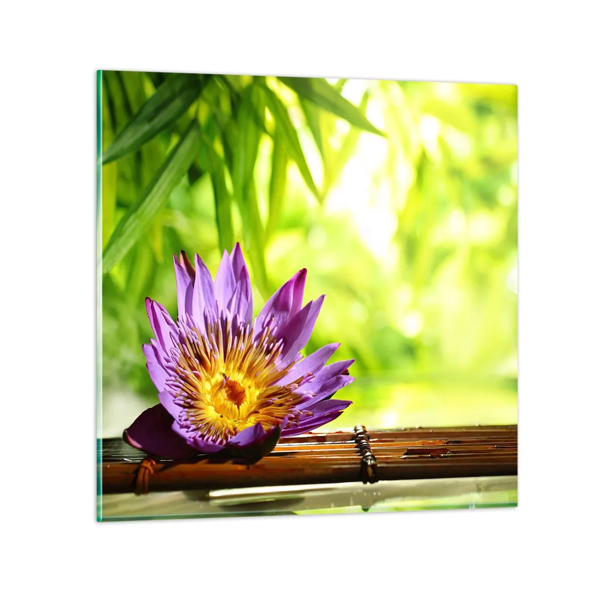 Obraz na szkle - W azjatyckim słońcu - 60x60 cm