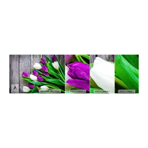 Fototapeta Próbka Standard Eco - W dniu wiosennego święta - Kwiaty, Tulipany, Bukiet Kwiatów - 100x30 cm