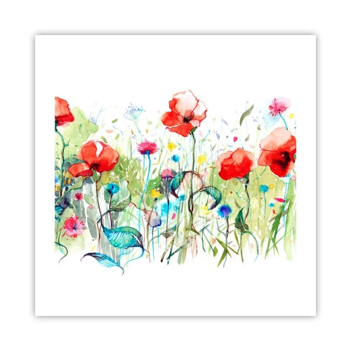 Plakat - Kwitnąca majem łąka - 50x50 cm