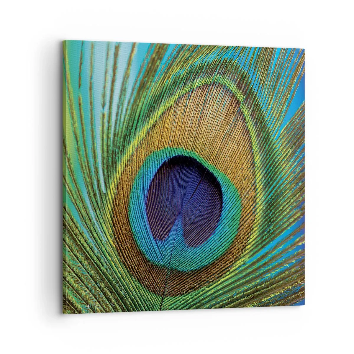 Obraz na płótnie - Oko w oko - 60x60 cm