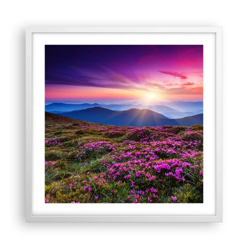 Plakat w białej ramie - Ziół zapachniały świeże pęki od niw - 50x50 cm