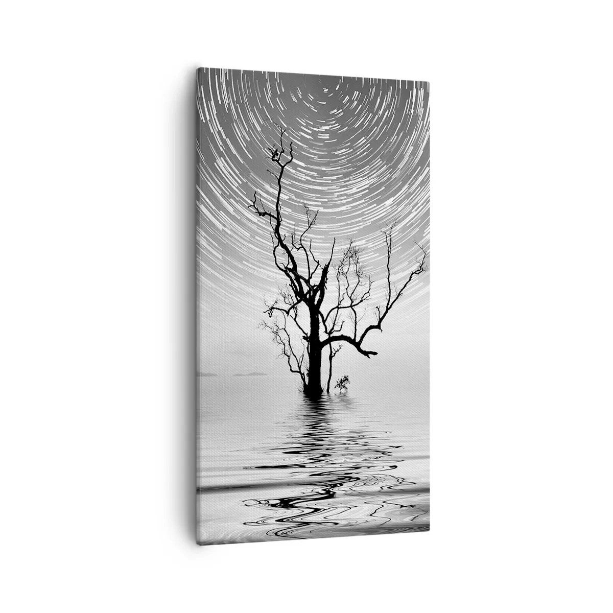 Obraz na płótnie - Symfonia natury - 55x100 cm