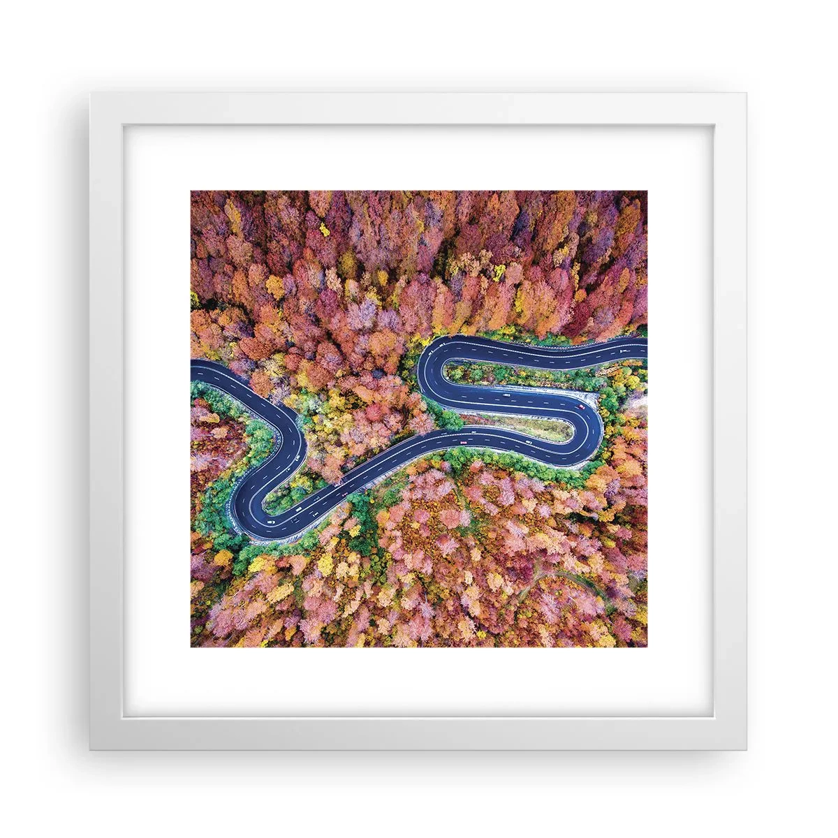 Plakat w białej ramie - Krętą drogą poprzez las - 30x30 cm