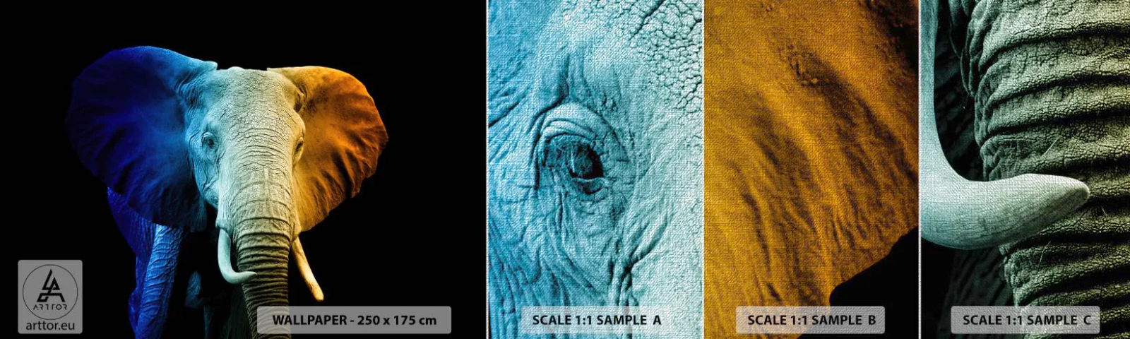 Fototapeta Próbka Premium Canvas - Ekscentryk, nie dziwak - Abstrakcja, Słoń, Zwierzęta - 100x30 cm