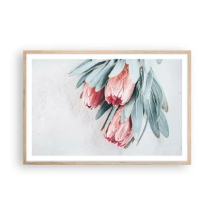 Plakat w ramie jasny dąb - Zawstydzone własną urodą - 91x61 cm