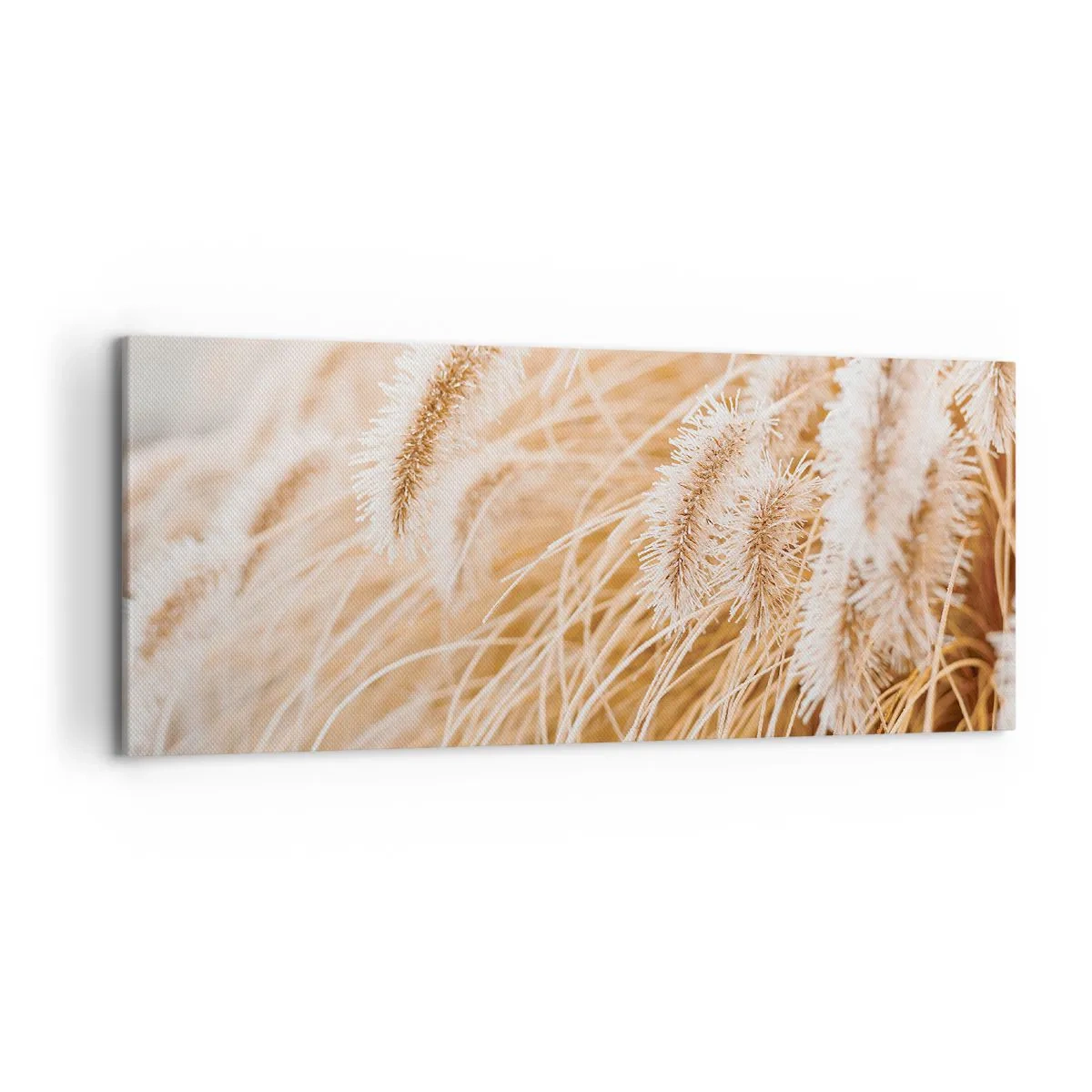 Obraz na płótnie - Zbliżenie na złote, delikatne trawy w promieniach słońca - 120x50cm - Złoty szelest traw - Nowoczesna dekoracja ścienna do salonu i sypialni ARTTOR