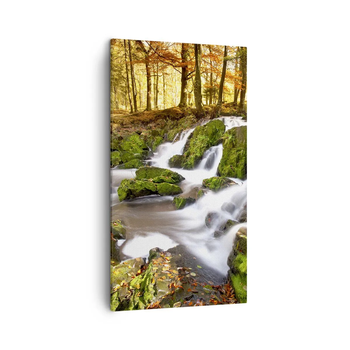 Obraz na płótnie - Bystro przez jesienny las - 45x80 cm