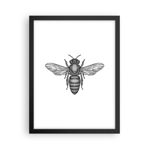 Plakat w czarnej ramie - Owadzi portret - 30x40 cm