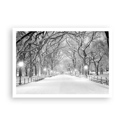 Plakat - Zimowa alejka z drzewami pokrytymi śniegiem w monochromatycznym ujęciu - 100x70cm - Cztery pory roku – zima - Nowoczesna dekoracja ścienna do salonu i sypialni ARTTOR
