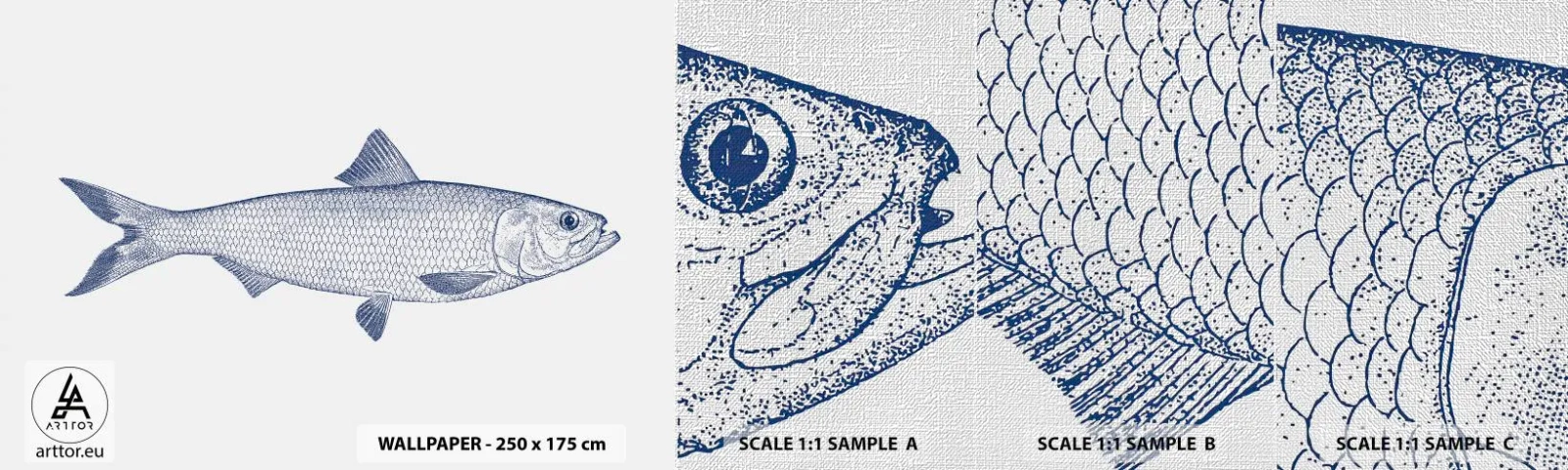 Fototapeta Próbka Premium Canvas - Pozdrowienia z północnych mórz - Ryba, Zwierzę Morskie, Styl Nadmorski - 100x30 cm