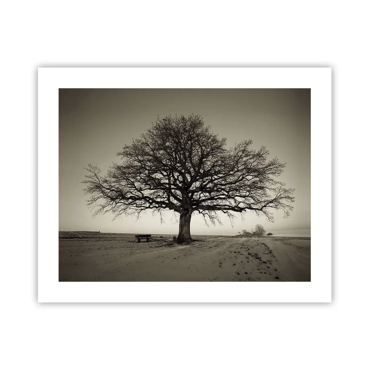 Plakat - Stąd do wieczności - 50x40 cm