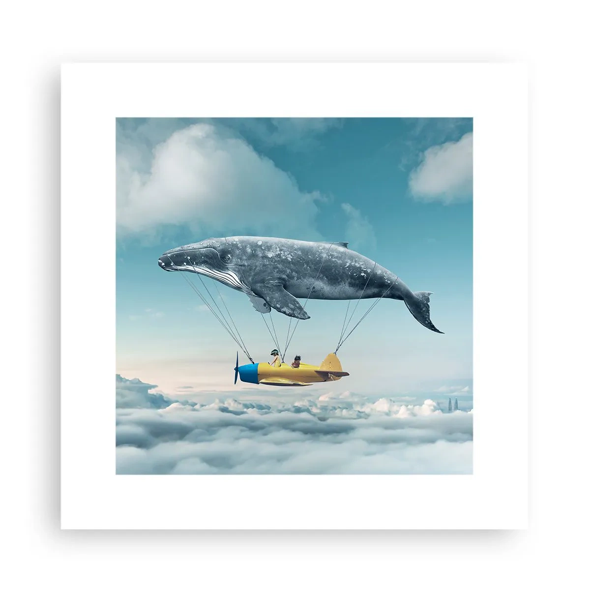 Plakat - Dlaczego nie? - 30x30 cm