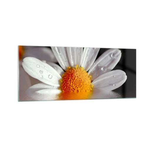 Obraz na szkle - Wschodzące słońce margaretki - 100x40 cm