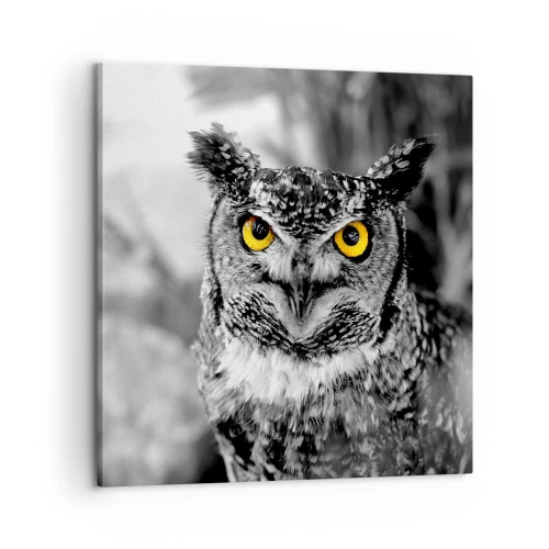 Obraz na płótnie - Nic się nie ukryje - 60x60 cm