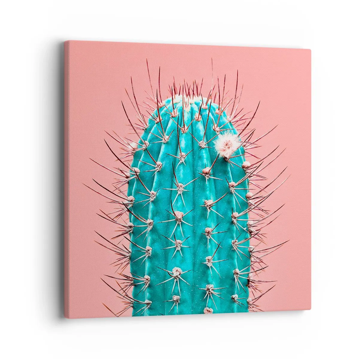 Obraz na płótnie - Tylko patrz - 40x40 cm