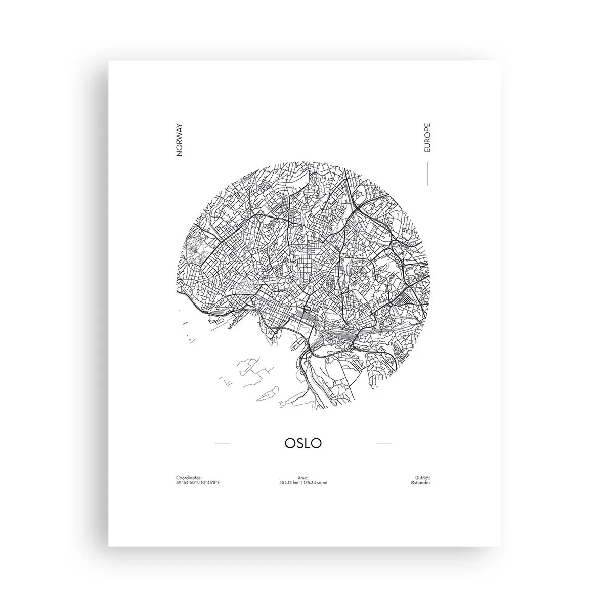 Plakat - Anatomia Oslo - 40x50 cm