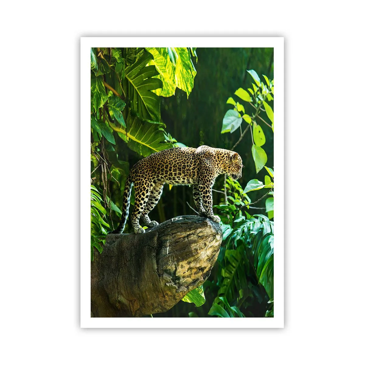Plakat - Na łowy? - 70x100 cm
