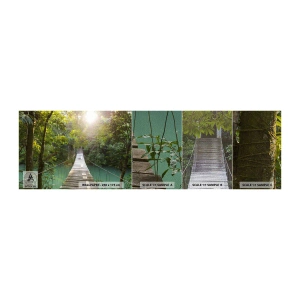 Fototapeta Próbka Premium Sand - Nad lazurową wodą do lazurowego lasu - Krajobraz , Dżungla, Drewniany Most - 100x30 cm