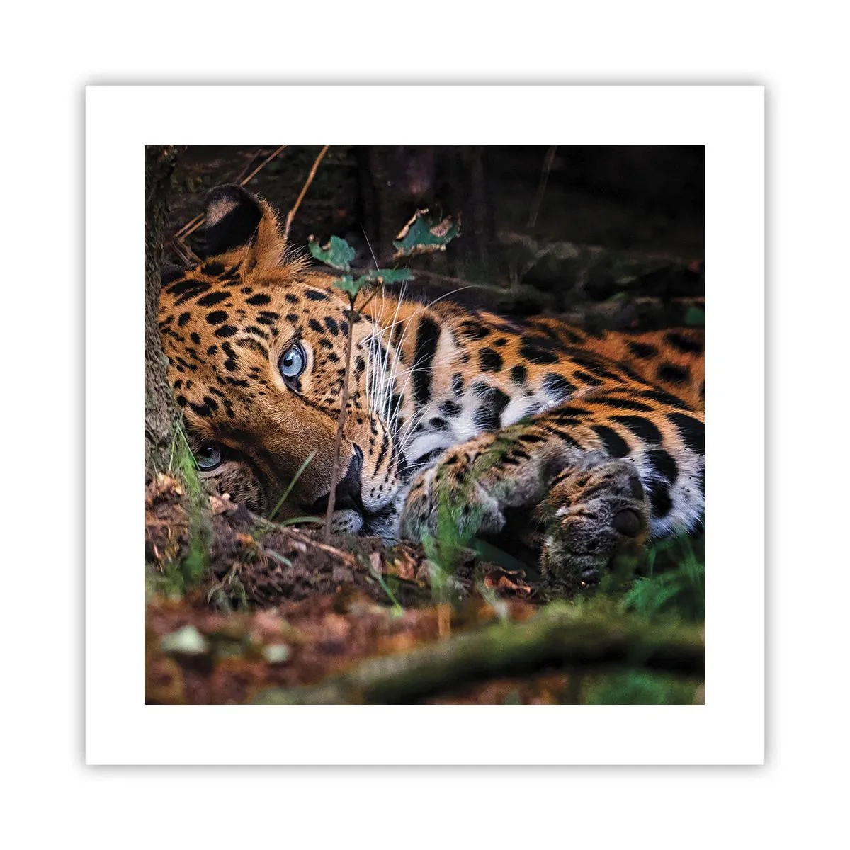 Plakat - Zaufaj mi - 40x40 cm