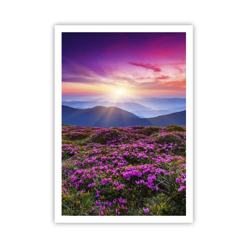 Plakat - Ziół zapachniały świeże pęki od niw - 70x100 cm