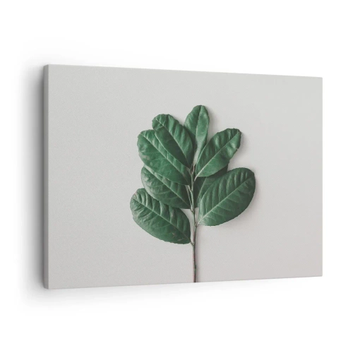 Obraz na płótnie - Gałązka zielonych liści na jasnym tle - 70x50cm - Rysunek samej natury - Nowoczesna dekoracja ścienna do salonu i sypialni ARTTOR