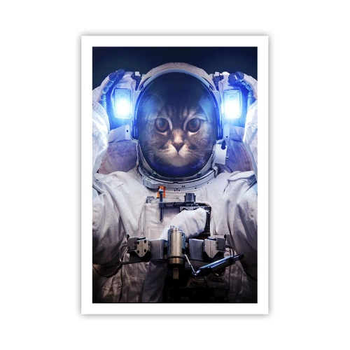 Plakat - Houston, macie problem - 61x91 cm