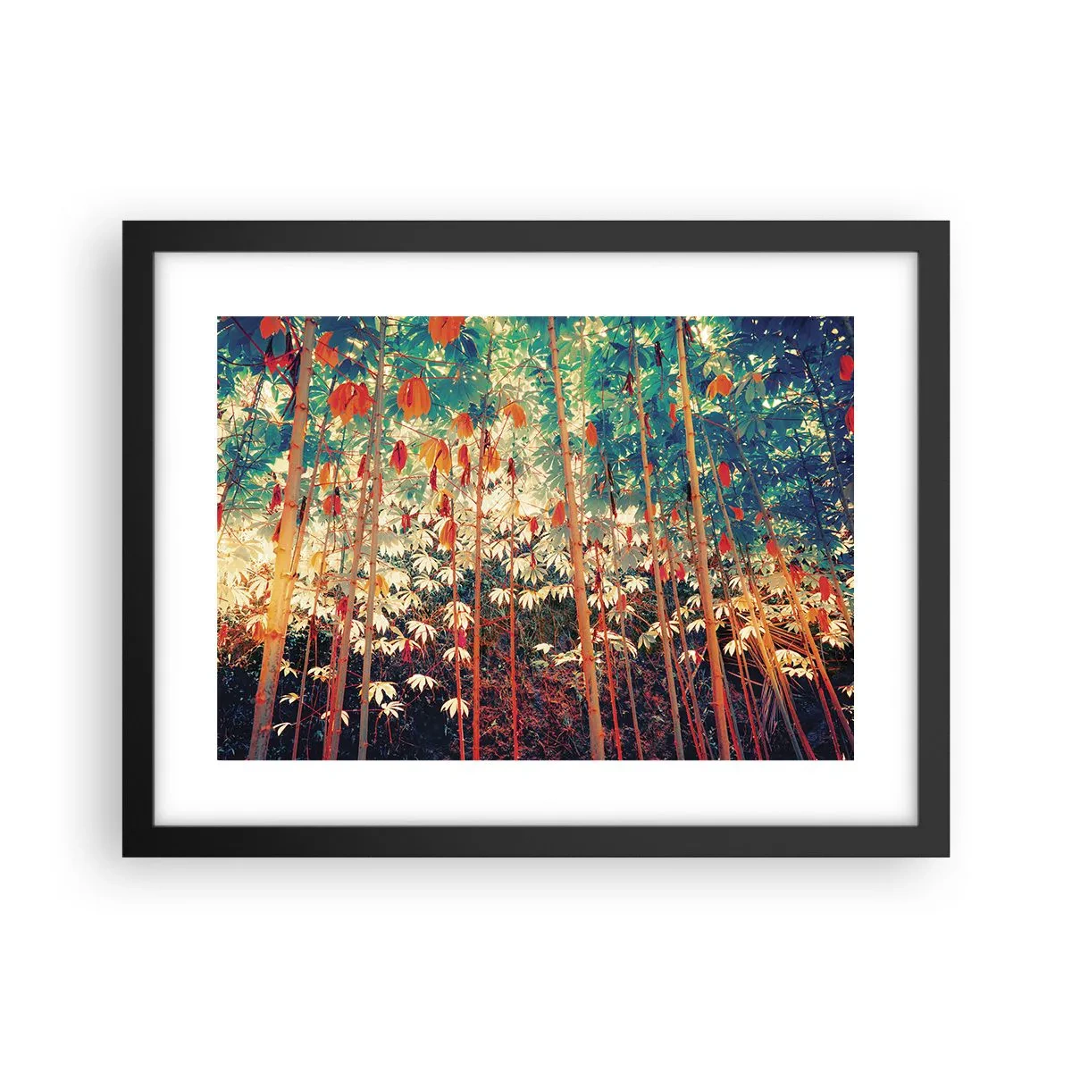 Plakat w czarnej ramie - Tajemne życie liści - 40x30 cm