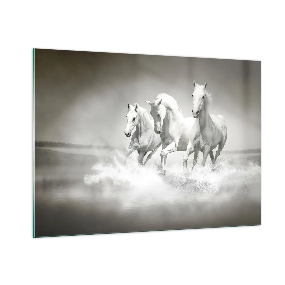 Obraz na szkle - Trzy białe konie galopujące po wodzie - 100x70cm - Białe szaleństwo - Nowoczesna dekoracja ścienna do salonu, kuchni i sypialni ARTTOR