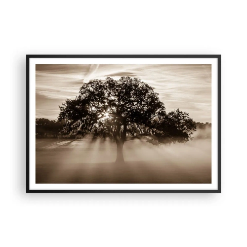 Plakat w czarnej ramie - Promienie słońca przebijające przez samotne drzewo - 100x70cm - Drzewo wiadomości samego dobrego - Nowoczesna dekoracja ścienna do salonu i sypialni ARTTOR