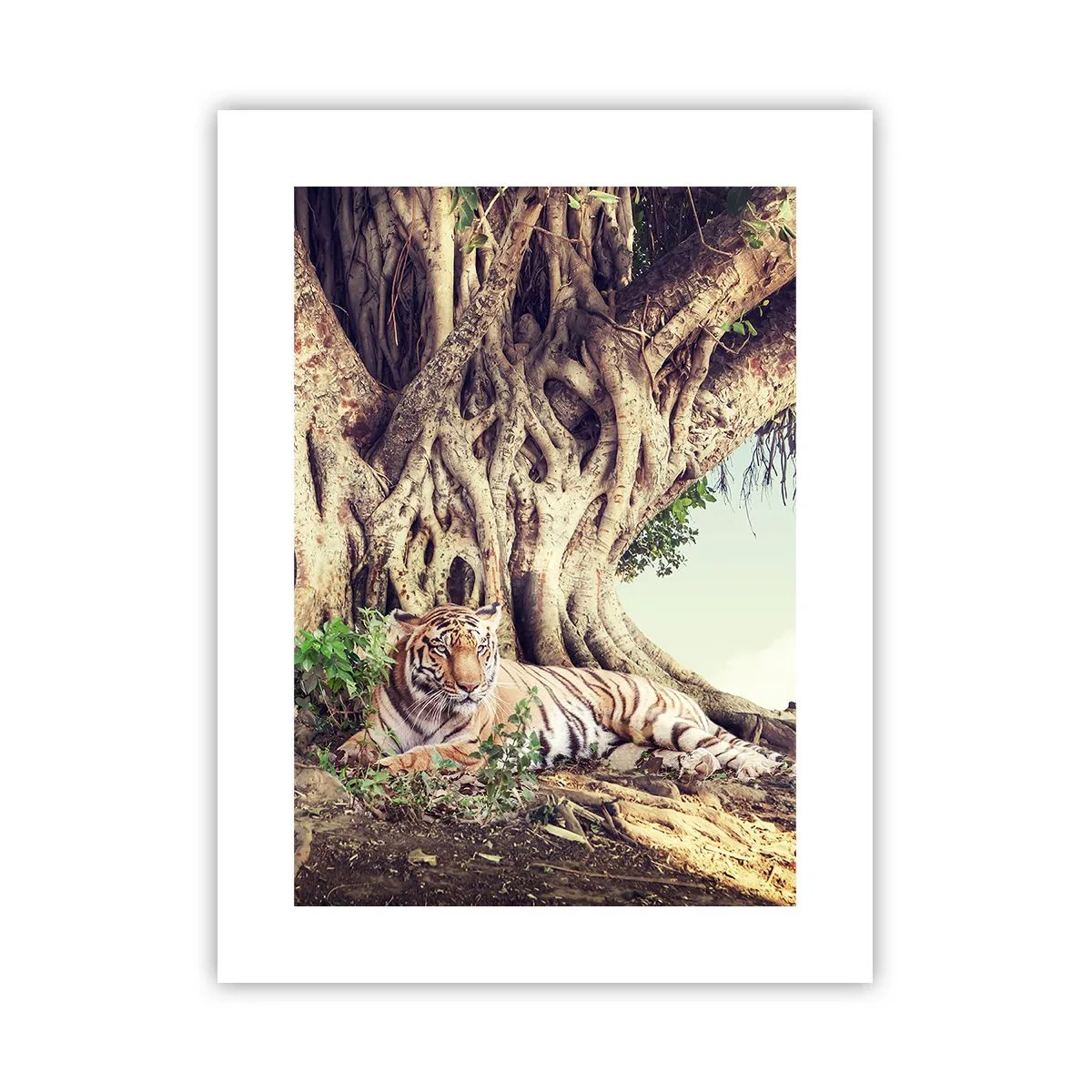 Plakat - Widok z Księgi Rodzaju - 30x40 cm