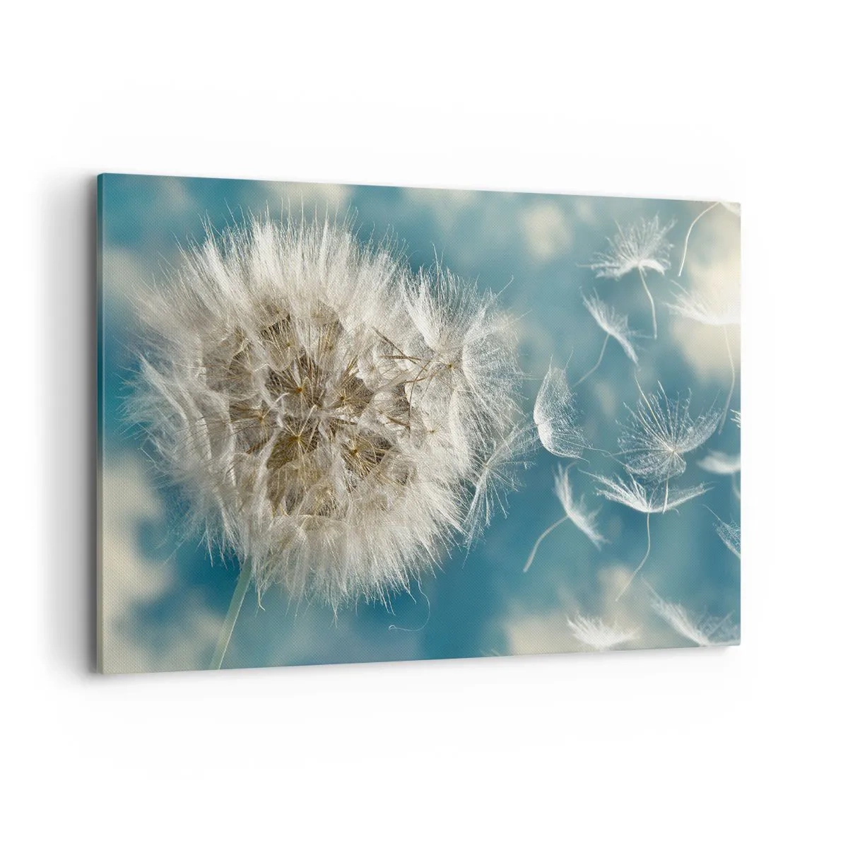 Obraz na płótnie - Zdmuchiwany dmuchawiec na tle niebieskiego nieba - 120x80cm - Oddech anioła - Nowoczesna dekoracja ścienna do salonu, kuchni i sypialni ARTTOR