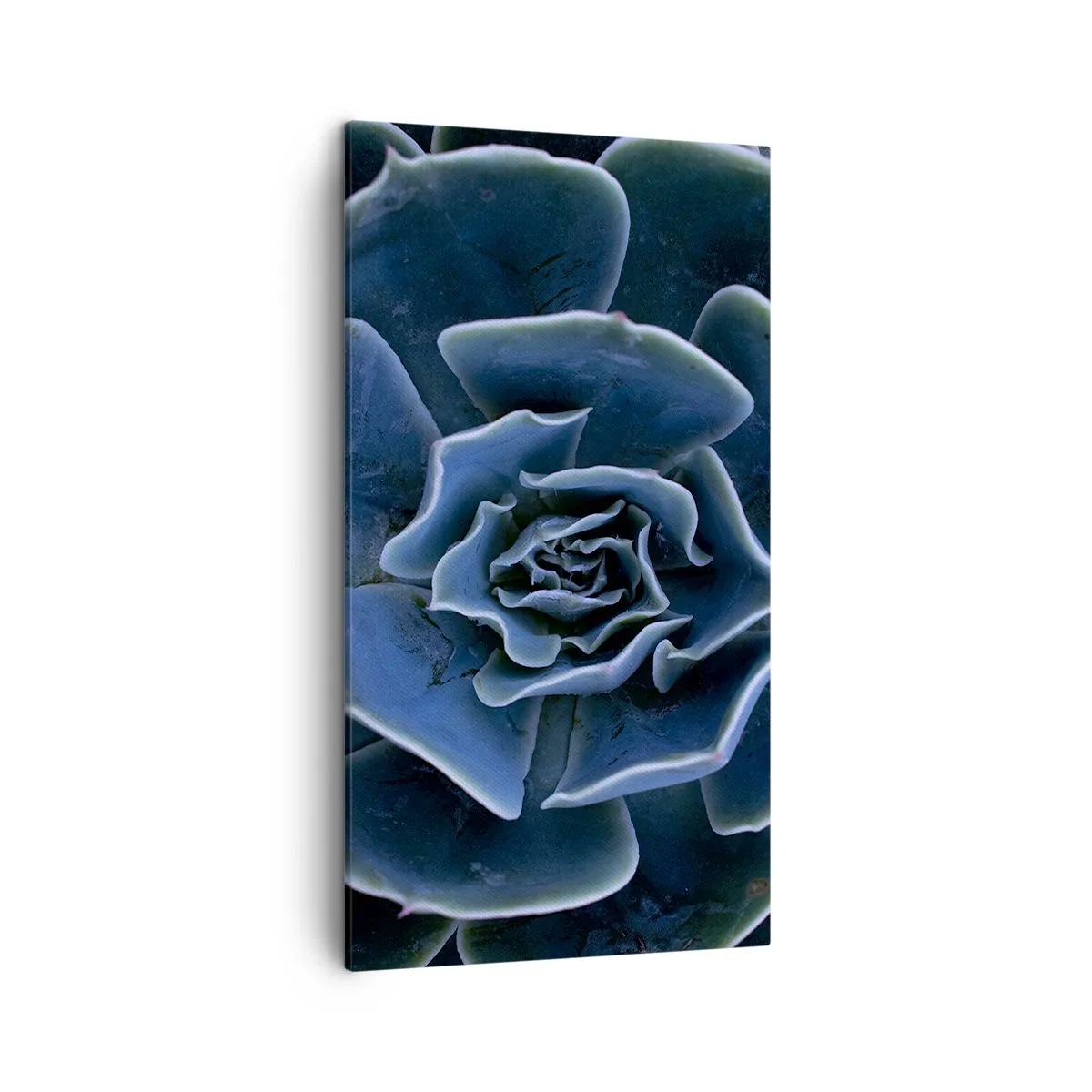 Obraz na płótnie - Kwiat pustyni - 45x80 cm