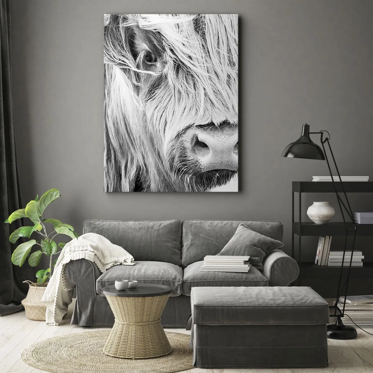 Obraz na płótnie - Zbliżenie na pysk szkockiej krowy w czarno-białym ujęciu - 50x70cm - Szkocka dzikość - Nowoczesna dekoracja ścienna do salonu, kuchni i sypialni ARTTOR