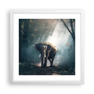 Plakat w białej ramie - Spokojna przechadzka - 40x40 cm