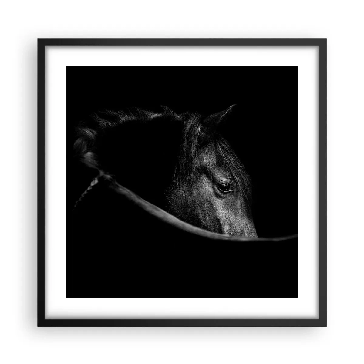 Plakat w czarnej ramie - Czarny książę - 50x50 cm