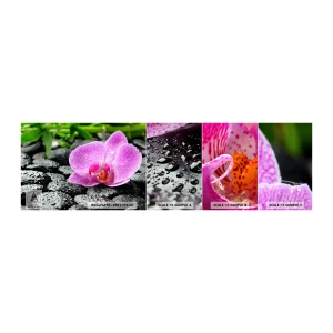 Fototapeta Próbka Samoprzylepna Deluxe Sticker - Jak otwarte serce - Kwiaty, Orchidea, Storczyk - 100x30 cm