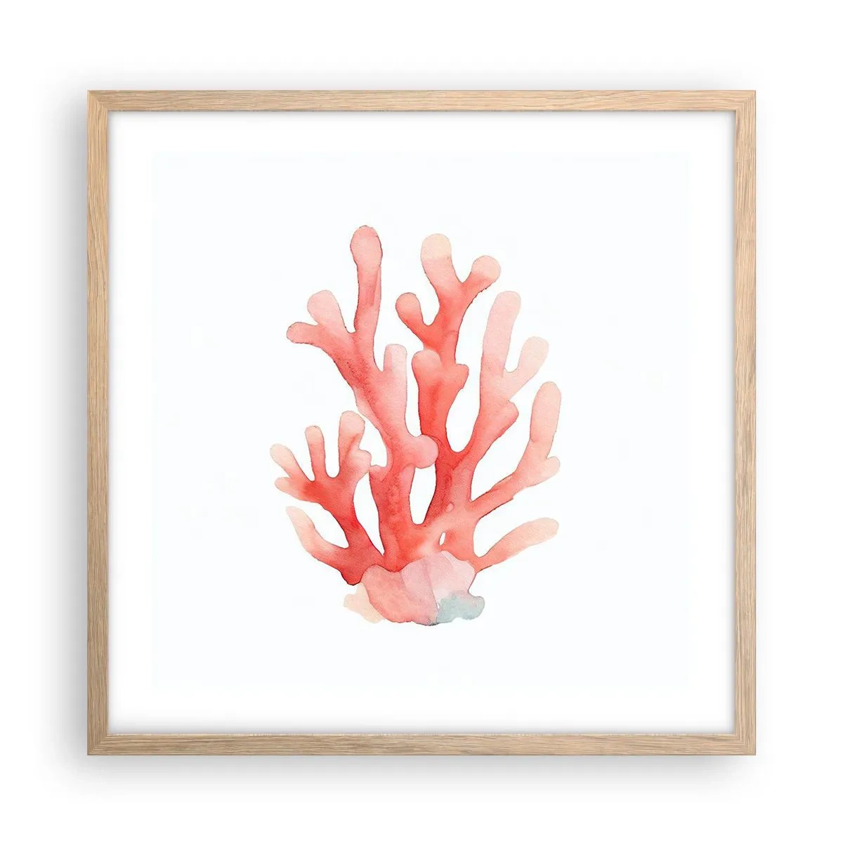 Plakat w ramie jasny dąb - Koral koloru koralowego - 50x50 cm