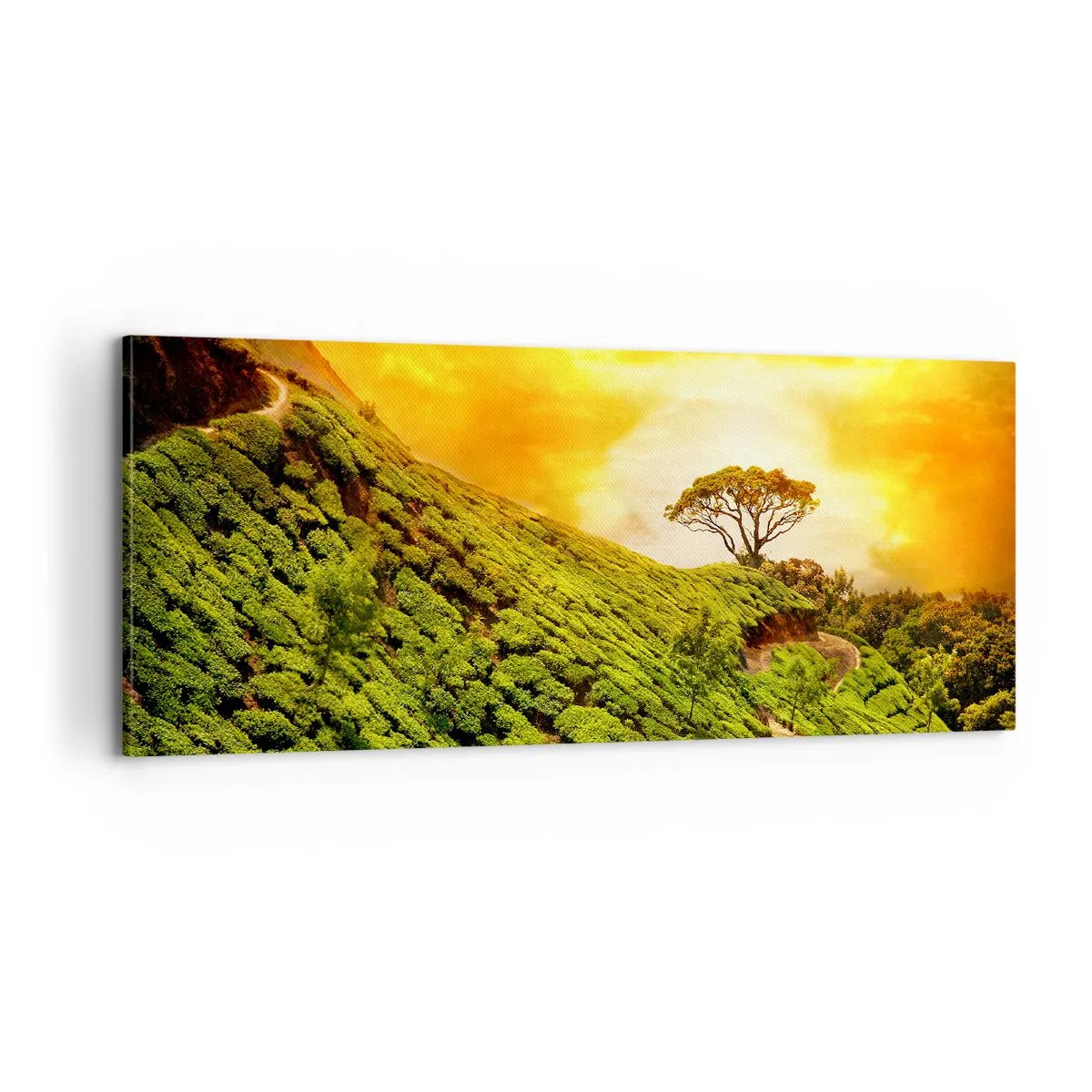 Obraz na płótnie - Krętą ścieżką, zielonym zboczem - 100x40 cm